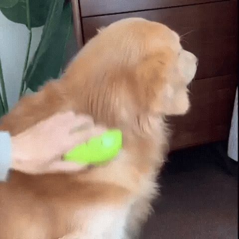 Cepillo de Vapor Para Mascotas